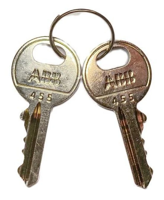 Dodatkowy klucz MA1‑8165 1SFA611920R8165 /5szt./