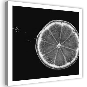 Feeby Obraz na płótnie Plaster cytryny czarno-biały 50×50 404155 Feeby Obraz na płótnie Plaster cytryny czarno-biały 50×50 404155