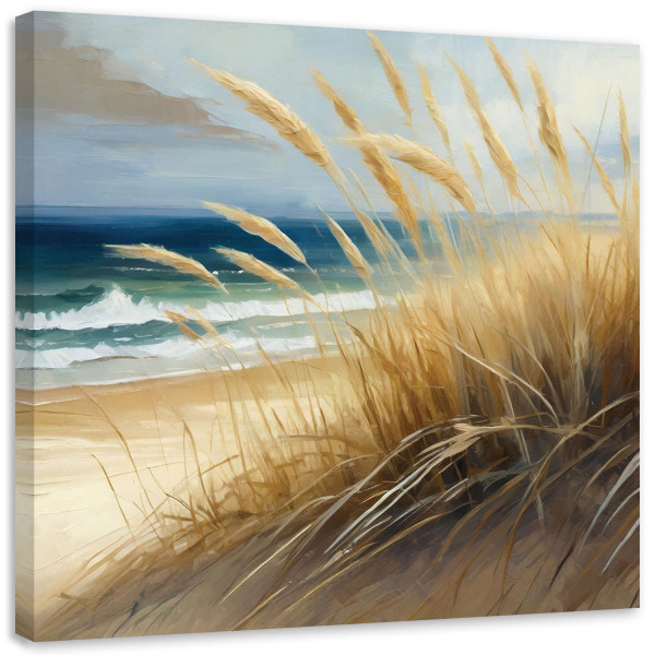 Feeby Obraz na płótnie, plaża, wydmy morskie, przyroda 40x40 561383