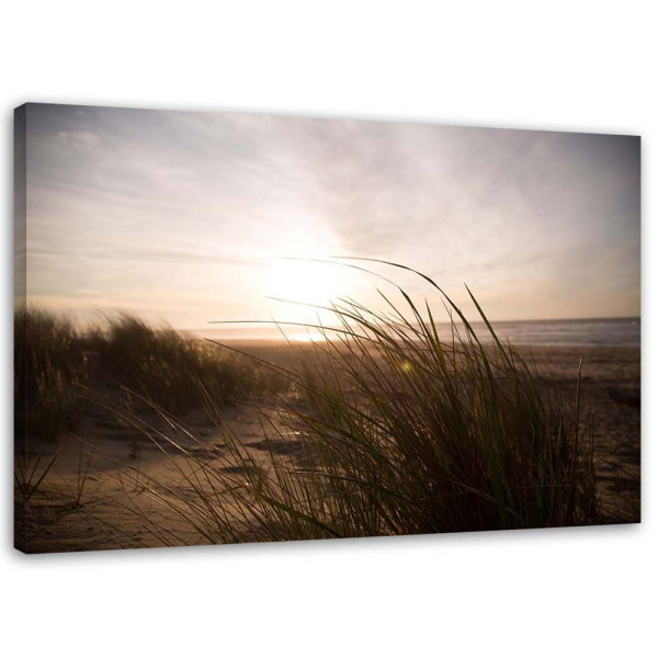 Feeby Obraz na płótnie Plaża zachód słońca 120x80 389709