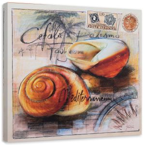 Feeby Obraz na płótnie Pocztówka z dwoma muszelkami 60×60 404393