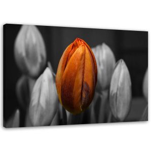 Feeby Obraz na płótnie Pomarańczowy tulipan 60×40 403905 Feeby Obraz na płótnie Pomarańczowy tulipan 60×40 403905