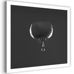 Feeby Obraz na płótnie Pomidor i krople wody 60×60 313847 Feeby Obraz na płótnie Pomidor i krople wody 60×60 313847