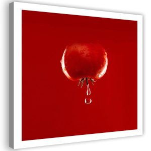 Feeby Obraz na płótnie, Pomidor i krople wody czerwony 30×30 313663 Feeby Obraz na płótnie, Pomidor i krople wody czerwony 30×30 313663