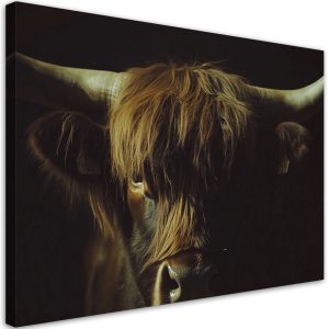 Feeby Obraz na płótnie, Portret Krowa Szkocka w Sepii 60×40 488215 Feeby Obraz na płótnie, Portret Krowa Szkocka w Sepii 60×40 488215