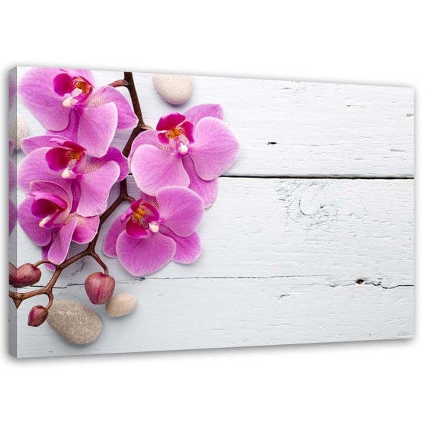 Feeby Obraz na płótnie Różowa orchidea i pąki 120x80 404305