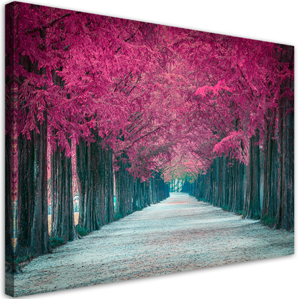 Feeby Obraz na płótnie, Różowe drzewa park 120x80 327302
