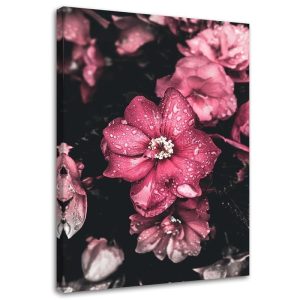 Feeby Obraz na płótnie Różowe kwiaty na ciemnym tle 40×60 404373 Feeby Obraz na płótnie Różowe kwiaty na ciemnym tle 40×60 404373