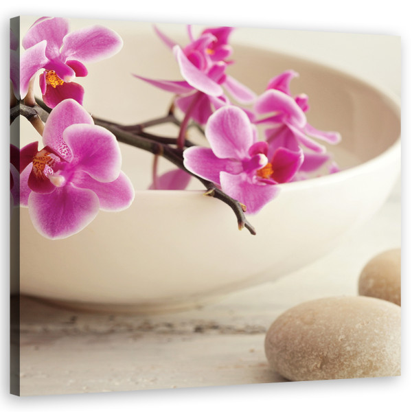 Feeby Obraz na płótnie, Różowe orchidee kwiaty 50x50 322217