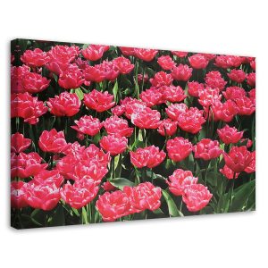 Feeby Obraz na płótnie Różowe tulipany w ogrodzie 100×70 392689 Feeby Obraz na płótnie Różowe tulipany w ogrodzie 100×70 392689