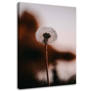 Feeby Obraz na płótnie Samotny dmuchawiec 70×100 387409