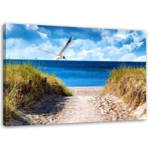 Feeby Obraz na płótnie, Ścieżka na plażę i mewa 120×80 318644 Feeby Obraz na płótnie, Ścieżka na plażę i mewa 120×80 318644