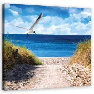 Feeby Obraz na płótnie Ścieżka na plażę i mewa 415757 Feeby Obraz na płótnie Ścieżka na plażę i mewa 415757