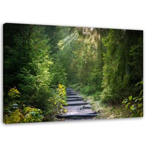 Feeby Obraz na płótnie Ścieżka w zielonym lesie 60×40 392807 Feeby Obraz na płótnie Ścieżka w zielonym lesie 60×40 392807
