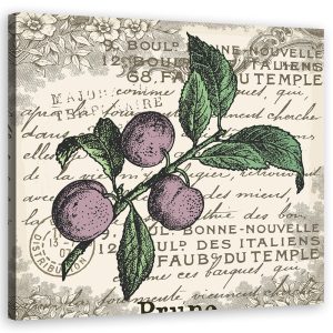 Feeby Obraz na płótnie, Śliwka vintage 60×60 318859 Feeby Obraz na płótnie, Śliwka vintage 60×60 318859