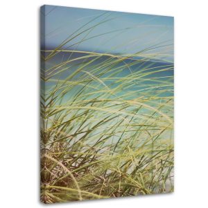 Feeby Obraz na płótnie Trawa na wydmach 60×90 404301 Feeby Obraz na płótnie Trawa na wydmach 60×90 404301