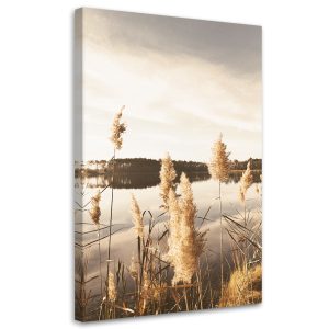 Feeby Obraz na płótnie, Trawa pampasowa nad jeziorem 80×120 421338 Feeby Obraz na płótnie, Trawa pampasowa nad jeziorem 80×120 421338