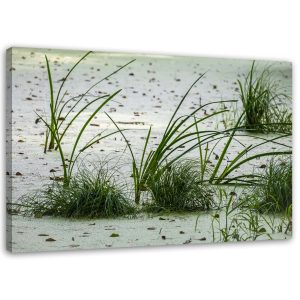 Feeby Obraz na płótnie Trawa wydmy piasek plaża 60×40 403917