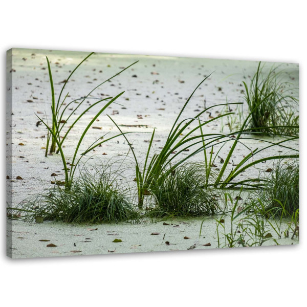Feeby Obraz na płótnie Trawa wydmy piasek plaża 90x60 404407
