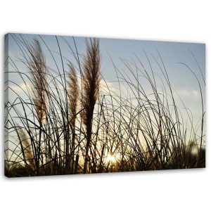 Feeby Obraz na płótnie Trzcina w słońcu 120×80 392723 Feeby Obraz na płótnie Trzcina w słońcu 120×80 392723