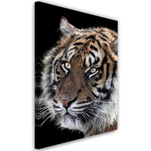 Feeby Obraz na płótnie Tygrys na czarnym tle 80×120 392877 Feeby Obraz na płótnie Tygrys na czarnym tle 80×120 392877