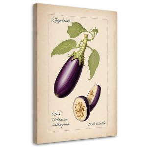 Feeby Obraz na płótnie, Warzywa Vintage Bakłażan 70×100 416416 Feeby Obraz na płótnie, Warzywa Vintage Bakłażan 70×100 416416