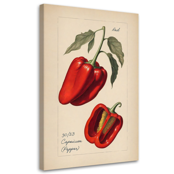 Feeby Obraz na płótnie, Warzywa Vintage Papryka 40x60 424389