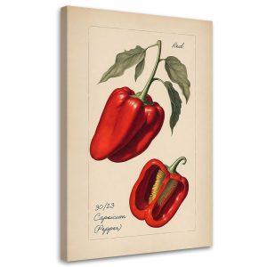 Feeby Obraz na płótnie, Warzywa Vintage Papryka 80×120 422935 Feeby Obraz na płótnie, Warzywa Vintage Papryka 80×120 422935