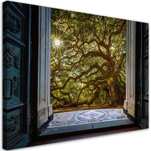 Feeby Obraz na płótnie, Widok na Drzewo Słońce Natura 60×40 484058 Feeby Obraz na płótnie, Widok na Drzewo Słońce Natura 60×40 484058