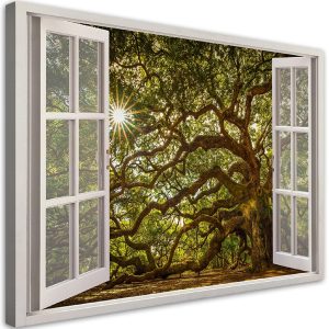 Feeby Obraz na płótnie, Widok z okna Drzewo las natura 90×60 485662 Feeby Obraz na płótnie, Widok z okna Drzewo las natura 90×60 485662