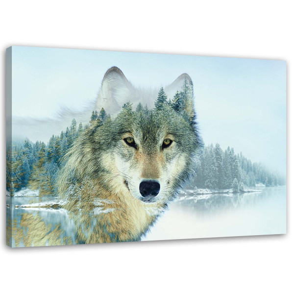 Feeby Obraz na płótnie, Wilk na tle gór 120x80 317122