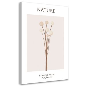 Feeby Obraz na płótnie, Wysuszony kwiat – Natura 40×60 426920 Feeby Obraz na płótnie, Wysuszony kwiat – Natura 40×60 426920