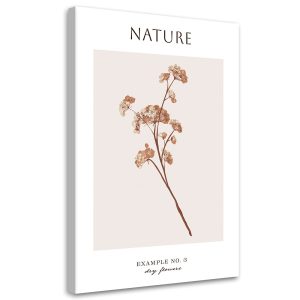 Feeby Obraz na płótnie, Wysuszony kwiat – Natura 60×90 421885 Feeby Obraz na płótnie, Wysuszony kwiat – Natura 60×90 421885