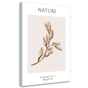 Feeby Obraz na płótnie, Wysuszony kwiat – Natura 70×100 420433