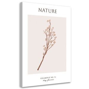 Feeby Obraz na płótnie, Wysuszony kwiat – Natura 80×120 421296