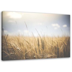 Feeby Obraz na płótnie Zboże na polu 60×40 388171 Feeby Obraz na płótnie Zboże na polu 60×40 388171