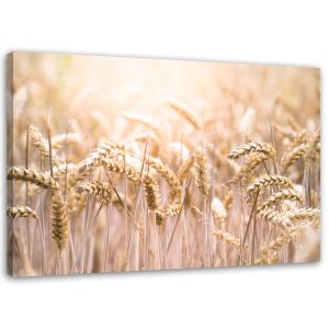 Feeby Obraz na płótnie Zboże w słońcu 60×40 404059 Feeby Obraz na płótnie Zboże w słońcu 60×40 404059