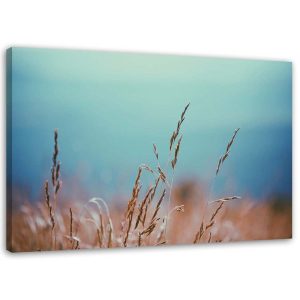 Feeby Obraz na płótnie Źdźbła traw 60×40 403791 Feeby Obraz na płótnie Źdźbła traw 60×40 403791