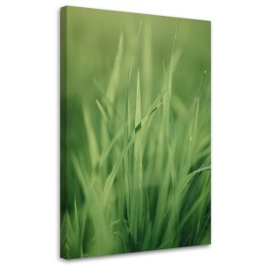 Feeby Obraz na płótnie, Źdźbło trawy 40×60 415706 Feeby Obraz na płótnie, Źdźbło trawy 40×60 415706