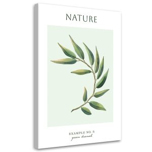 Feeby Obraz na płótnie, Zielona gałązka – Natura 60×90 421237