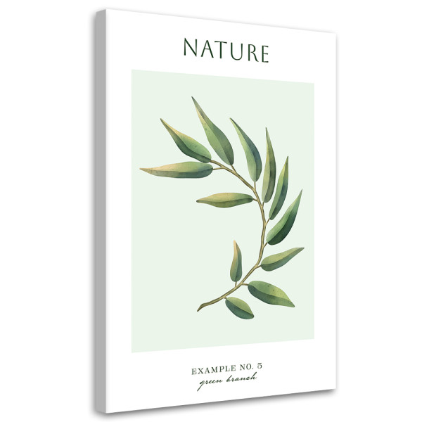 Feeby Obraz na płótnie, Zielona gałązka - Natura 60x90 421237