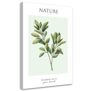 Feeby Obraz na płótnie, Zielona gałązka – Natura 70×100 427087