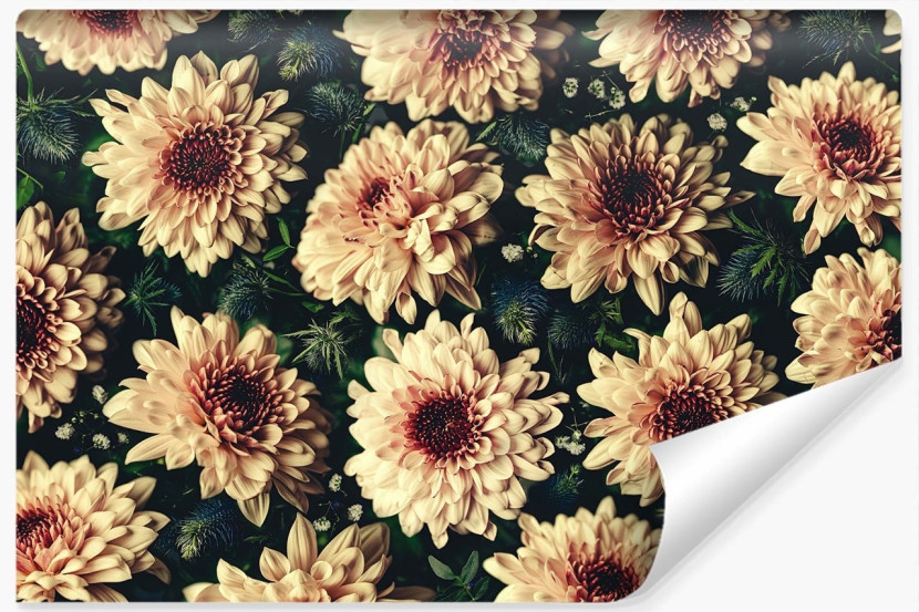 Fototapeta Kwiaty CHRYZANTEMY Vintage 3D 152.5x104cm 258461
