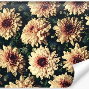 Fototapeta Kwiaty CHRYZANTEMY Vintage 3D 180x120cm 258417 Fototapeta Kwiaty CHRYZANTEMY Vintage 3D 180x120cm 258417
