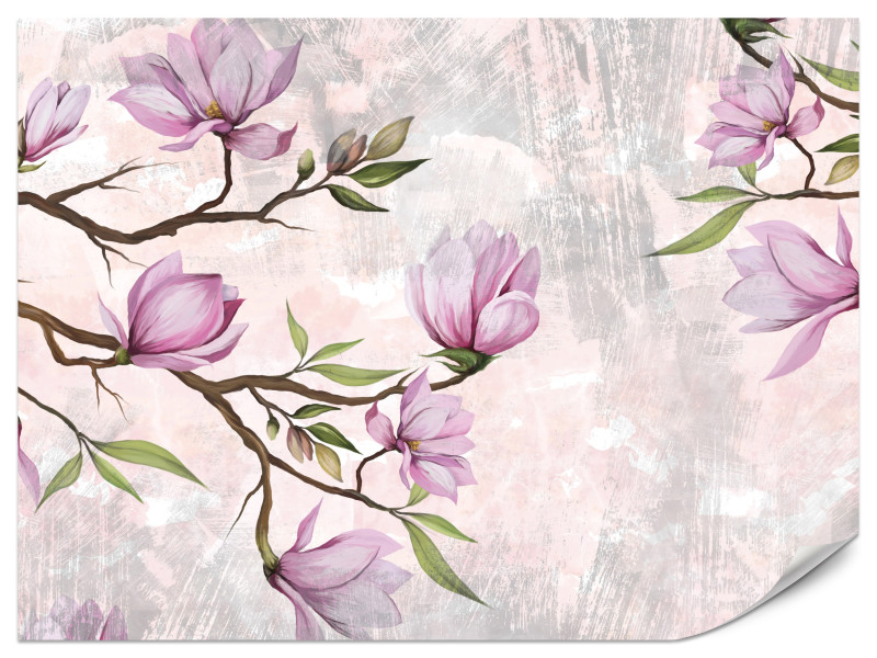 Fototapeta Kwiaty magnolii 250x175cm 984356