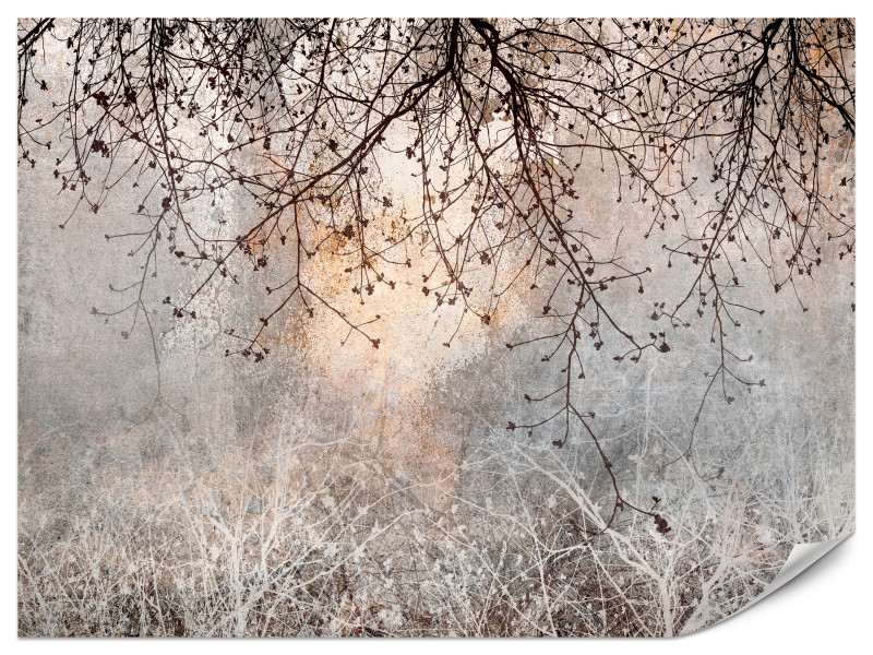 Fototapeta Kwitnąca poświata 150x105cm 982262