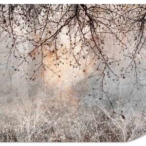 Fototapeta Kwitnąca poświata 300x210cm 982533 Fototapeta Kwitnąca poświata 300x210cm 982533