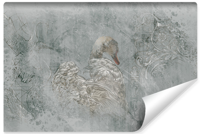 Fototapeta Łabędź W Stylu Retro 254x184cm 321024