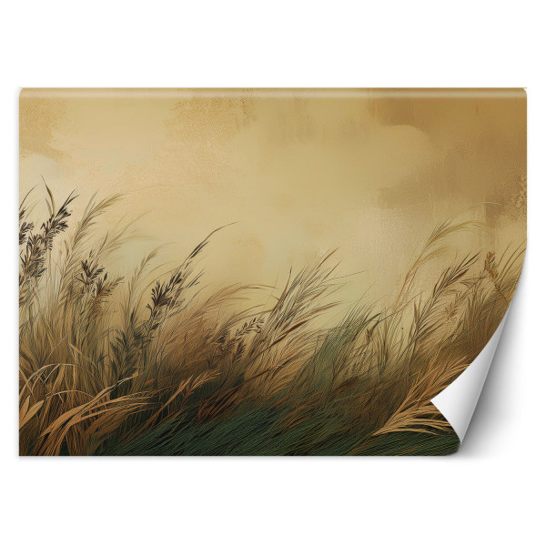 Fototapeta, Łąka Trawa Natura 559070