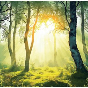 Fototapeta las 3d drzewa natura słońce na ścianę sypialnia salon 300×210 712218 Fototapeta las 3d drzewa natura słońce na ścianę sypialnia salon 300×210 712218